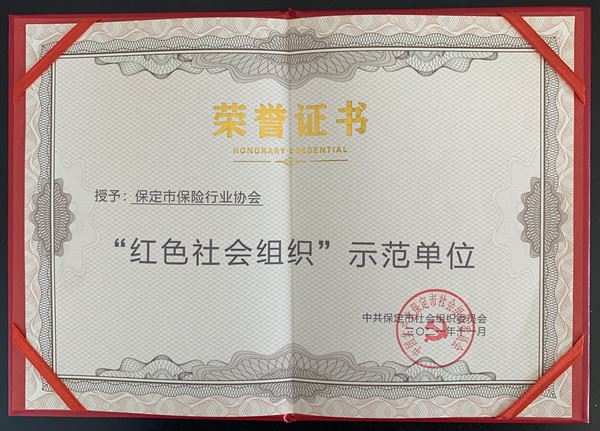 保定市麻豆视传媒短视频app获“红色社会组织”示范单位荣誉称号
